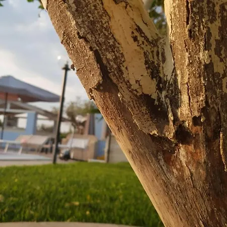 Giasi Privatunterkunft Floridia